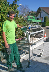 hofeinfahrten